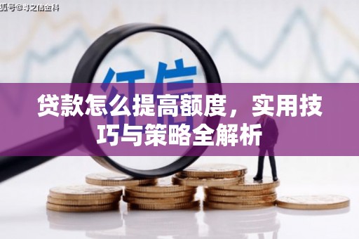 卢龙贷款怎么提高额度，实用技巧与策略全解析