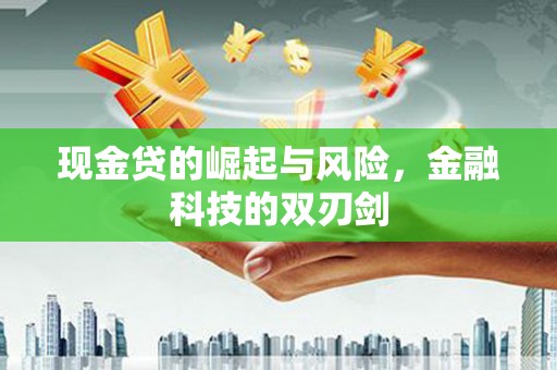 卢龙现金贷的崛起与风险，金融科技的双刃剑