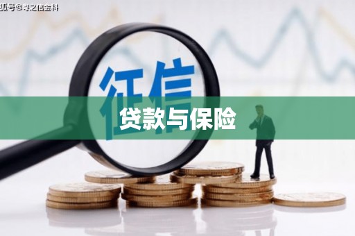 卢龙贷款与保险