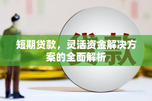 卢龙短期贷款，灵活资金解决方案的全面解析