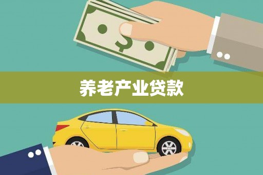 卢龙养老产业贷款