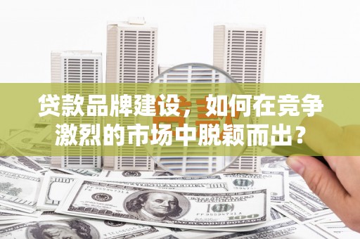 卢龙贷款品牌建设，如何在竞争激烈的市场中脱颖而出？