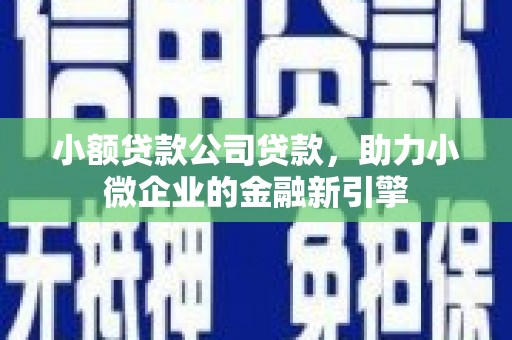 卢龙小额贷款公司贷款，助力小微企业的金融新引擎