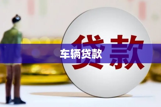 卢龙车辆贷款
