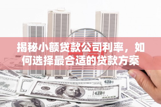 卢龙揭秘小额贷款公司利率，如何选择最合适的贷款方案