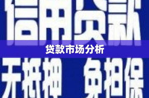 卢龙贷款市场分析