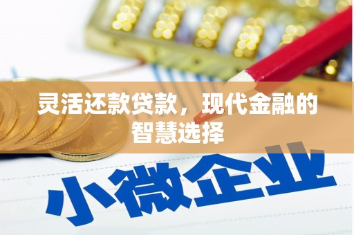 卢龙灵活还款贷款，现代金融的智慧选择