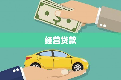 卢龙经营贷款