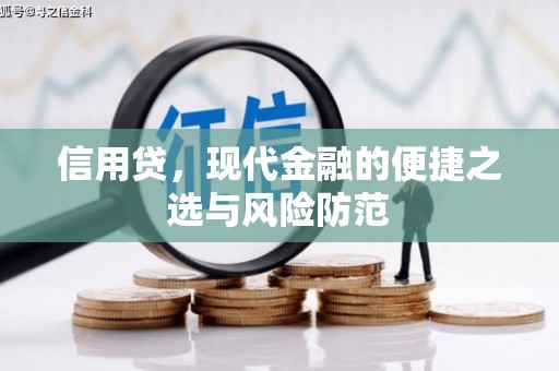 卢龙信用贷，现代金融的便捷之选与风险防范