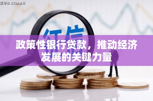 卢龙政策性银行贷款，推动经济发展的关键力量
