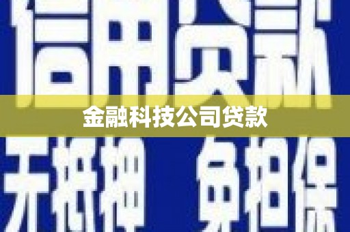 卢龙金融科技公司贷款