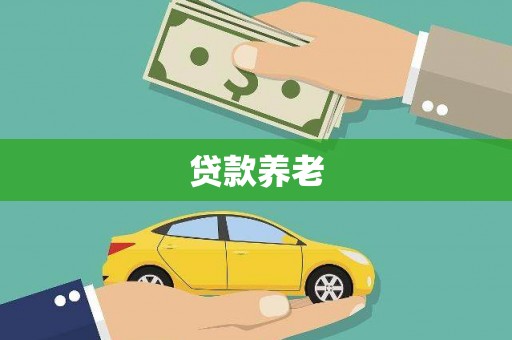 卢龙贷款养老