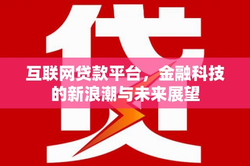 卢龙互联网贷款平台，金融科技的新浪潮与未来展望