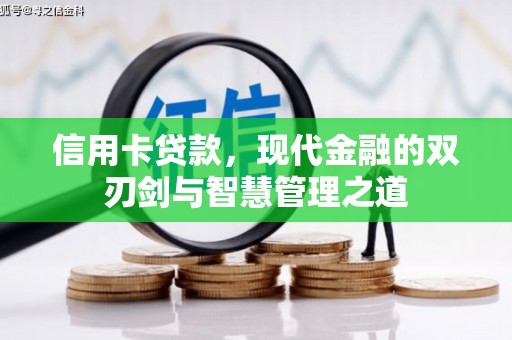 卢龙信用卡贷款，现代金融的双刃剑与智慧管理之道