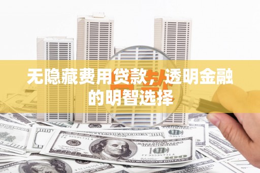 卢龙无隐藏费用贷款，透明金融的明智选择