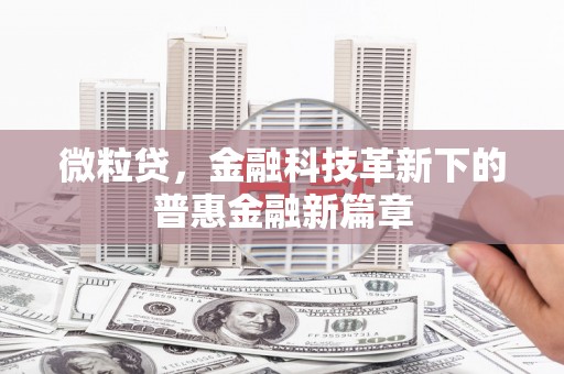 卢龙微粒贷，金融科技革新下的普惠金融新篇章