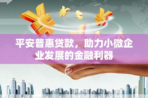 卢龙平安普惠贷款，助力小微企业发展的金融利器