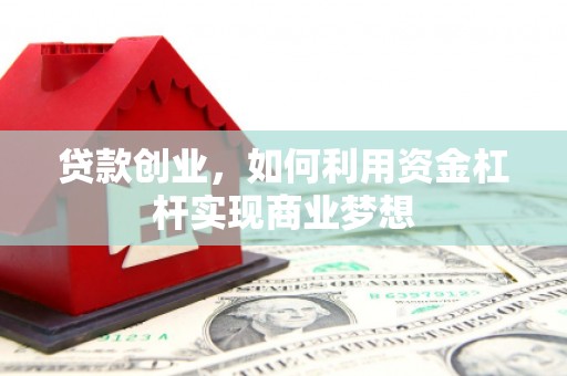 卢龙贷款创业，如何利用资金杠杆实现商业梦想