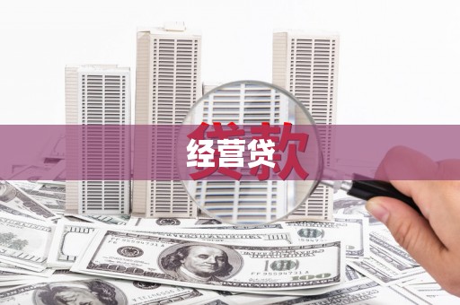 卢龙经营贷