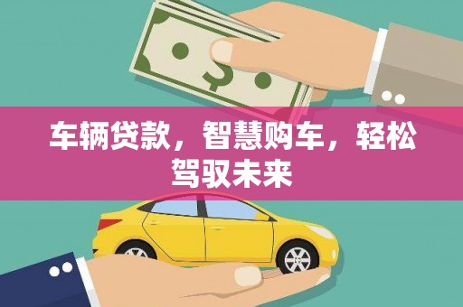 卢龙车辆贷款，智慧购车，轻松驾驭未来