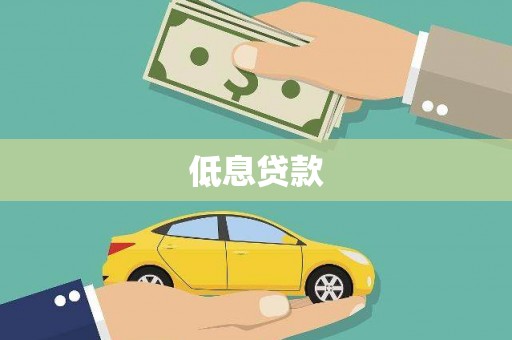 卢龙低息贷款
