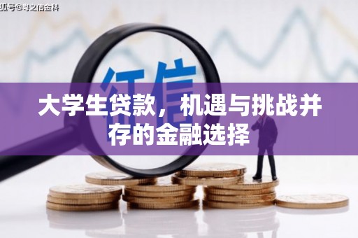 卢龙大学生贷款，机遇与挑战并存的金融选择