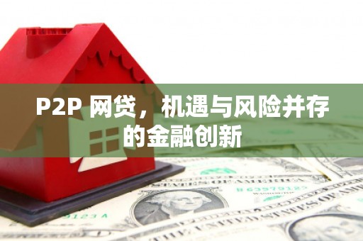 卢龙P2P 网贷，机遇与风险并存的金融创新