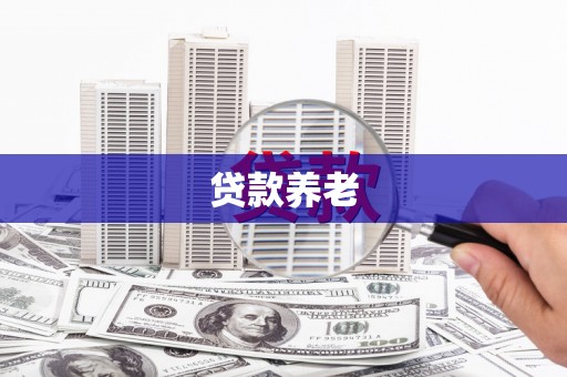 卢龙贷款养老
