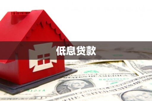 卢龙低息贷款