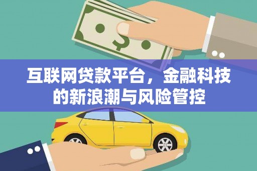 卢龙互联网贷款平台，金融科技的新浪潮与风险管控