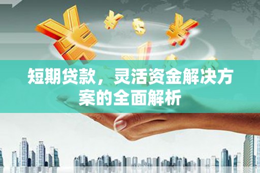 卢龙短期贷款，灵活资金解决方案的全面解析