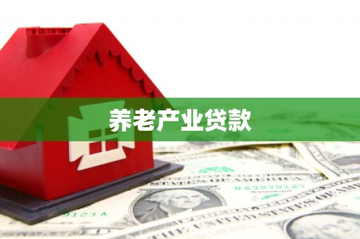 卢龙养老产业贷款