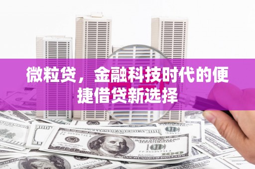 卢龙微粒贷，金融科技时代的便捷借贷新选择