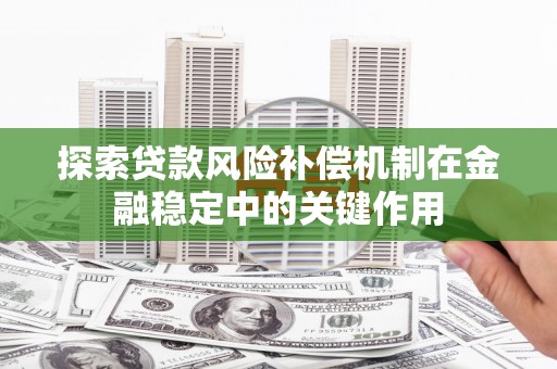 卢龙探索贷款风险补偿机制在金融稳定中的关键作用