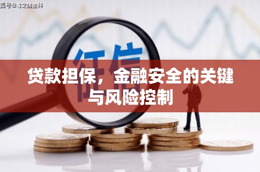 卢龙贷款担保，金融安全的关键与风险控制