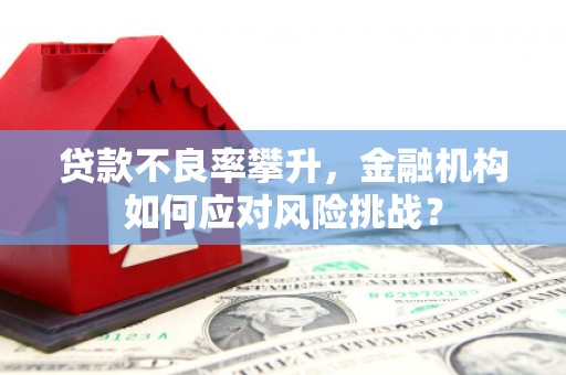 卢龙贷款不良率攀升，金融机构如何应对风险挑战？