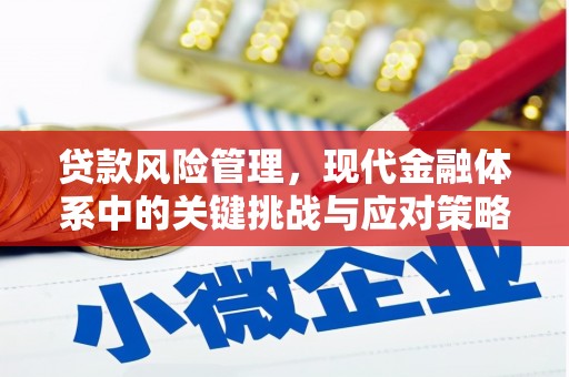 卢龙贷款风险管理，现代金融体系中的关键挑战与应对策略