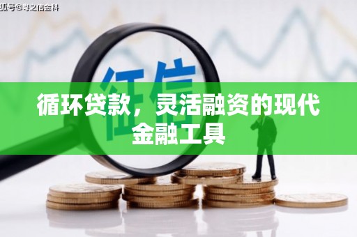 卢龙循环贷款，灵活融资的现代金融工具