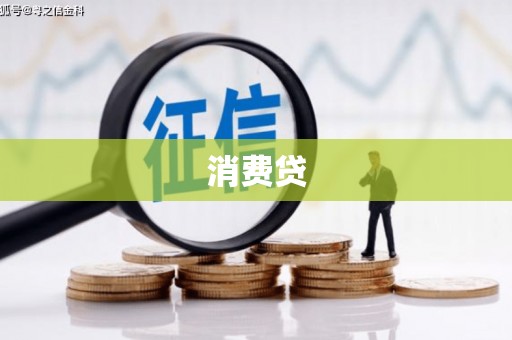 卢龙消费贷