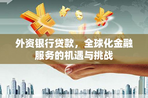 卢龙外资银行贷款，全球化金融服务的机遇与挑战