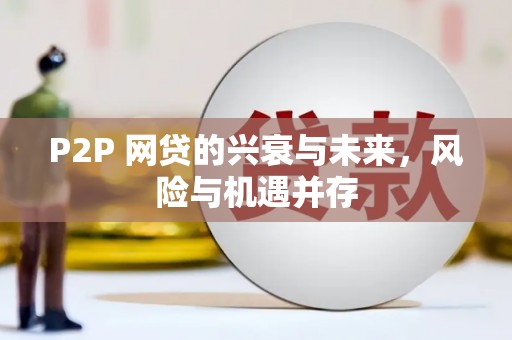 卢龙P2P 网贷的兴衰与未来，风险与机遇并存