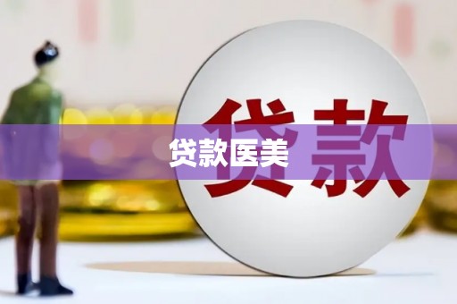 卢龙贷款医美