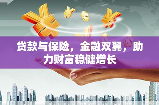 卢龙贷款与保险，金融双翼，助力财富稳健增长