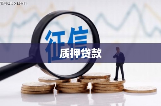 卢龙质押贷款