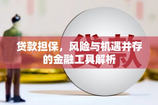 卢龙贷款担保，风险与机遇并存的金融工具解析