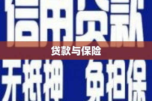 卢龙贷款与保险