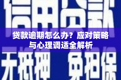 卢龙贷款逾期怎么办？应对策略与心理调适全解析