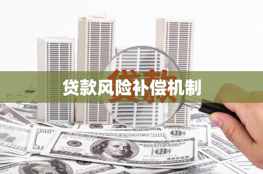 卢龙贷款风险补偿机制