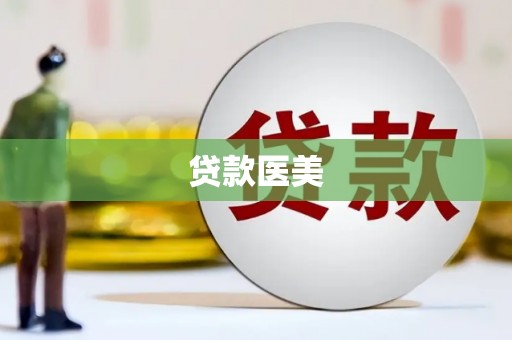 卢龙贷款医美