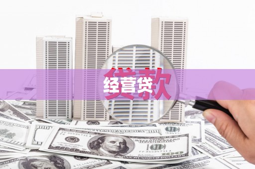 卢龙经营贷